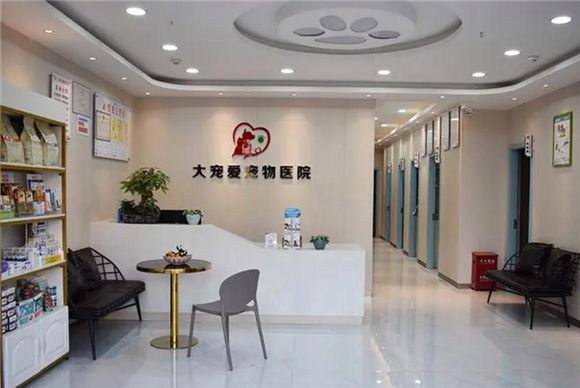 大宠爱宠物医院怎么样