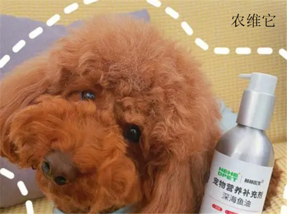 宠物营养补充剂中农维他