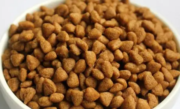 麻麻小灶猫粮如何？购买时的注意事项是？