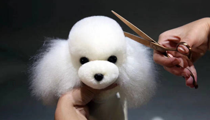 清理狗毛工具介绍！