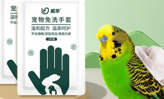 威毕宠物用品好吗?不妨来看看吧 威毕宠物用品好吗?不妨来看看吧