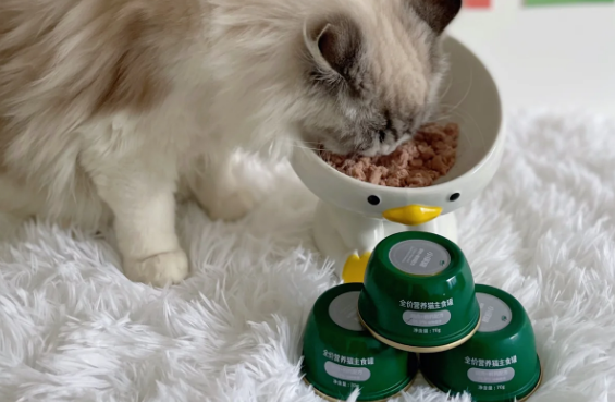 猫咪罐头怎么选？｜红狗小绿罐真实测评