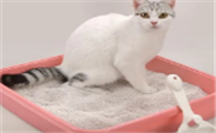 猫砂盆多久清洗一次比较好