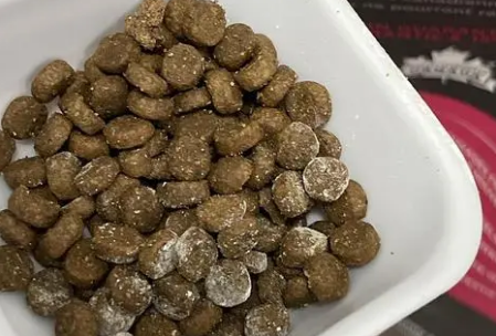 让猫咪摆脱“细猫”最有效的增肥猫粮推荐-御邦猫粮 让猫咪摆脱“细猫”最有效的增肥猫粮推荐-御邦猫粮