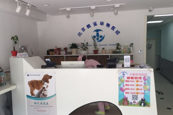 酷宠宠物医院怎么样 酷宠宠物医院怎么样