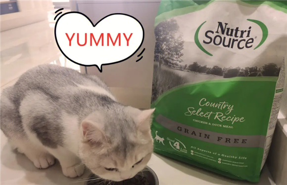新萃猫粮什么档次 新萃猫粮什么档次