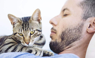 猫咪为什么喜欢亲近人脸