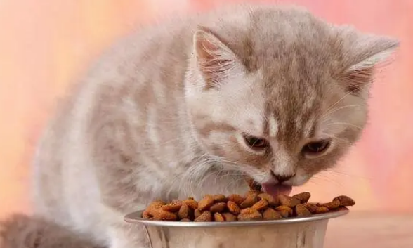 卷尾巴猫粮好不好 卷尾巴猫粮好不好