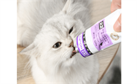 猫咪需要化毛膏的表现
