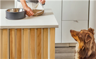 Dog Standards是鲜粮吗