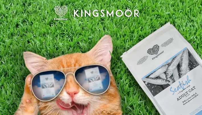 kingsmoor猫粮咋样