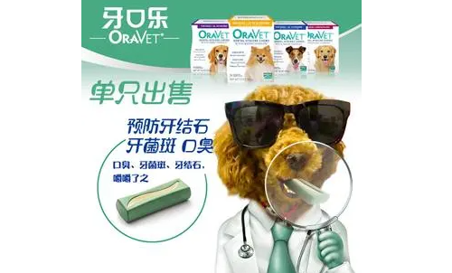 牙口乐好用吗