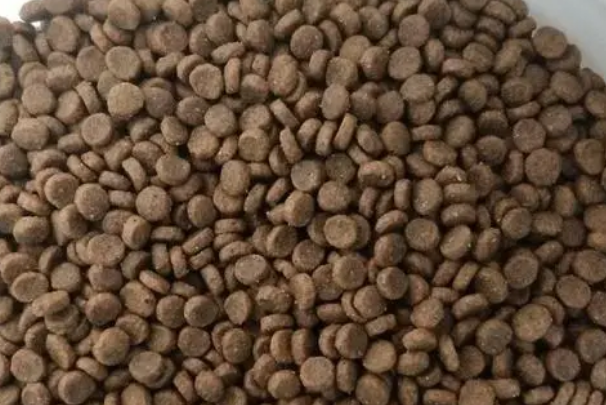 麦斯蒂猫粮品牌介绍，麦斯蒂猫粮属于什么档次？