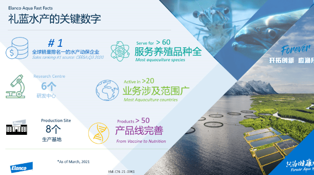 礼蓝动保是500强吗