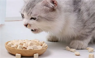 猫咪冻干怎么吃