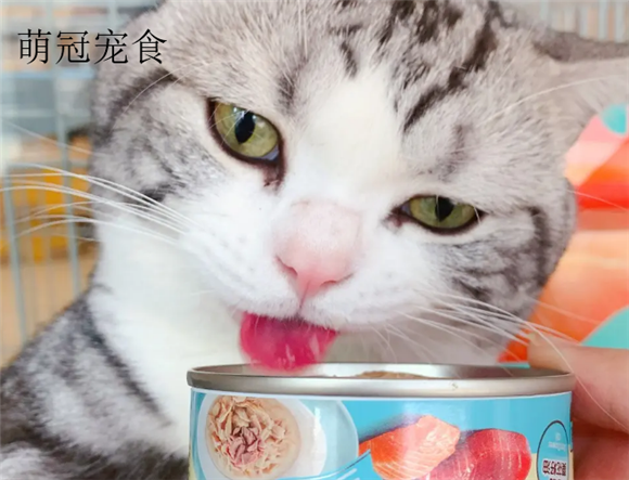 萌冠宠食好吗 萌冠宠食好吗