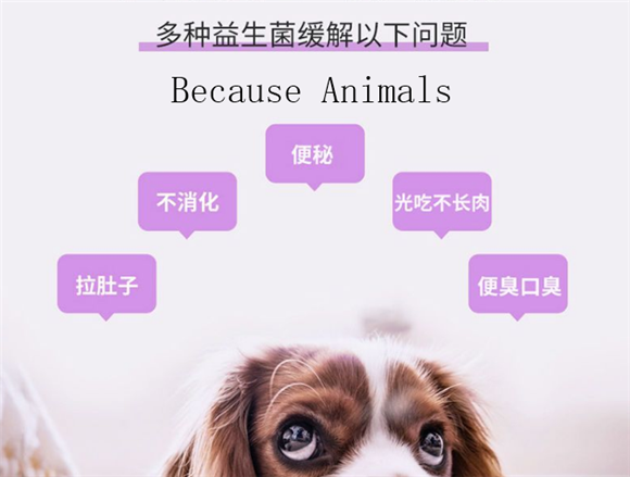 Because Animals宠物益生菌好吗 Because Animals宠物益生菌好吗