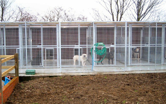 成都口碑好的犬舍