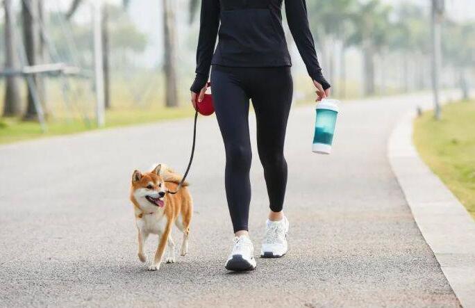 狗狗运动时有哪些注意事项 狗狗运动时有哪些注意事项
