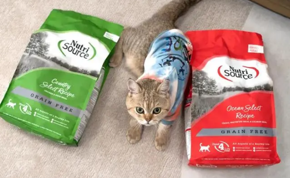 新萃猫粮为什么不火