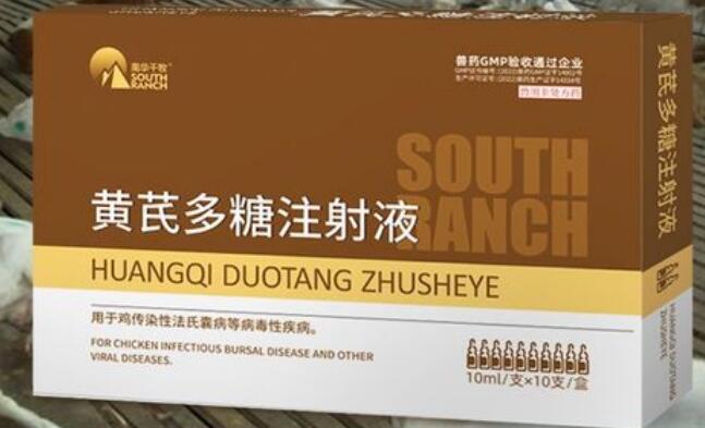牛羊用黄芪多糖作用