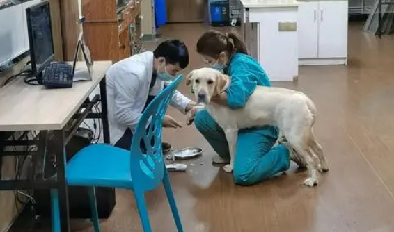 贝乐佳宠物医院地址