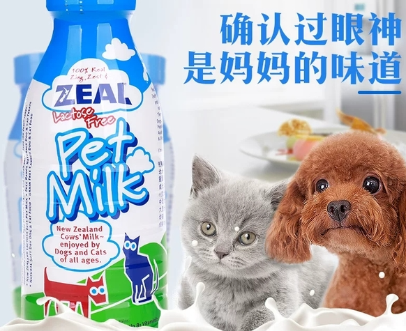 真挚宠物牛奶真假