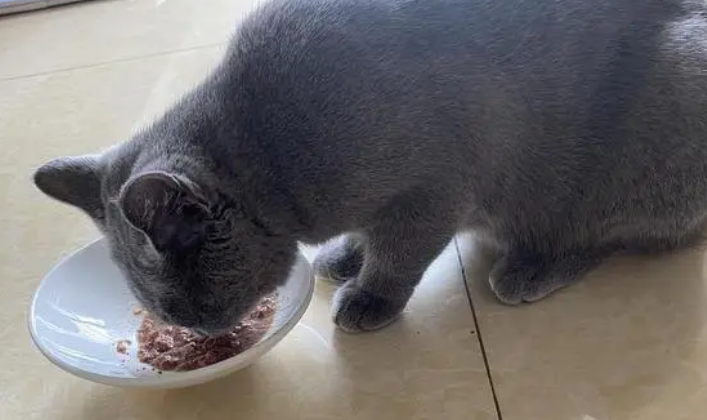 始终如一，打造营养健康美食，毛兀主食汤罐品质如一