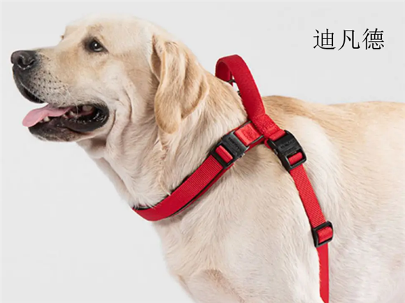 迪凡德宠物用品好不好