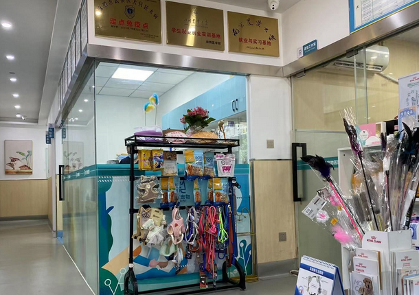 北京宠物医院24小时营业