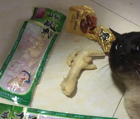 猫咪偷吃泡椒凤爪被女孩当场抓住,网友看了笑到喷泪:辣死爹了! 猫咪偷吃泡椒凤爪被女孩当场抓住,网友看了笑到喷泪:辣死爹了!