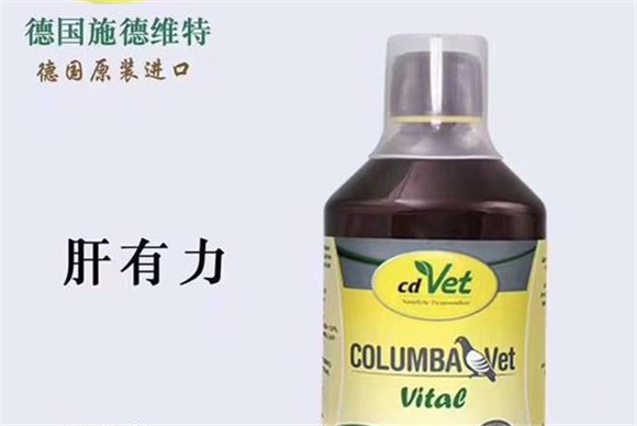 施德维特肝有力怎么保存 施德维特肝有力怎么保存
