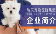瑞辰宠物医院集团跟瑞鹏有关系吗