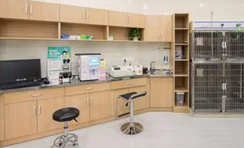 保定市宠物医院哪家好