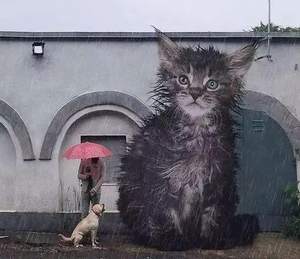 他“养”了一只3米高的猫，私密照曝光后，83万人云撸猫