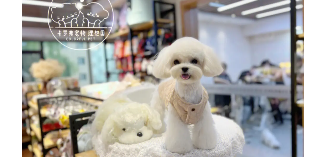 卡罗弗宠物店怎么样