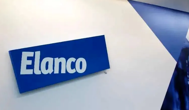 礼蓝动保公司福利待遇 礼蓝动保公司福利待遇