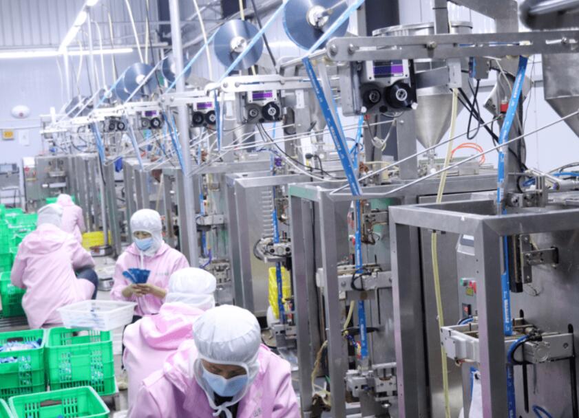 山东派森代工哪些宠物品牌