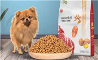 博美狗粮怎么选