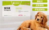 宠物消炎药有哪些啊