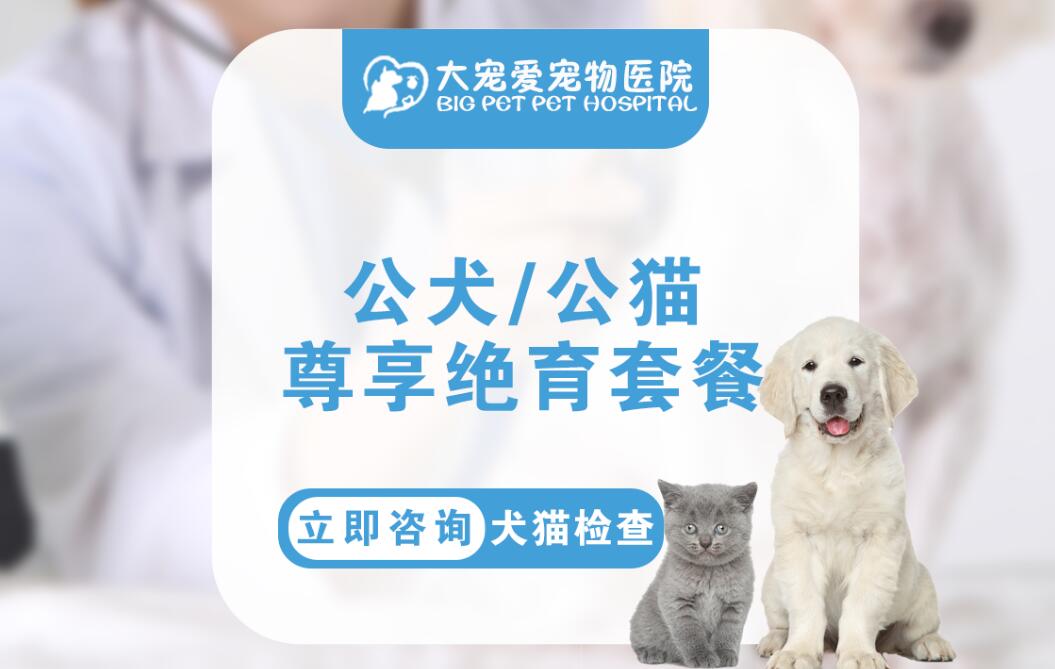 宠物医院大宠爱多少钱