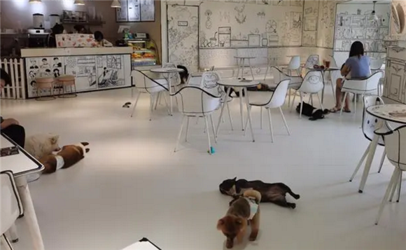 成都犬舍哪家可靠