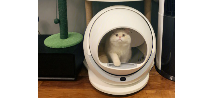petree猫砂盆坏了怎么维修 petree猫砂盆坏了怎么维修
