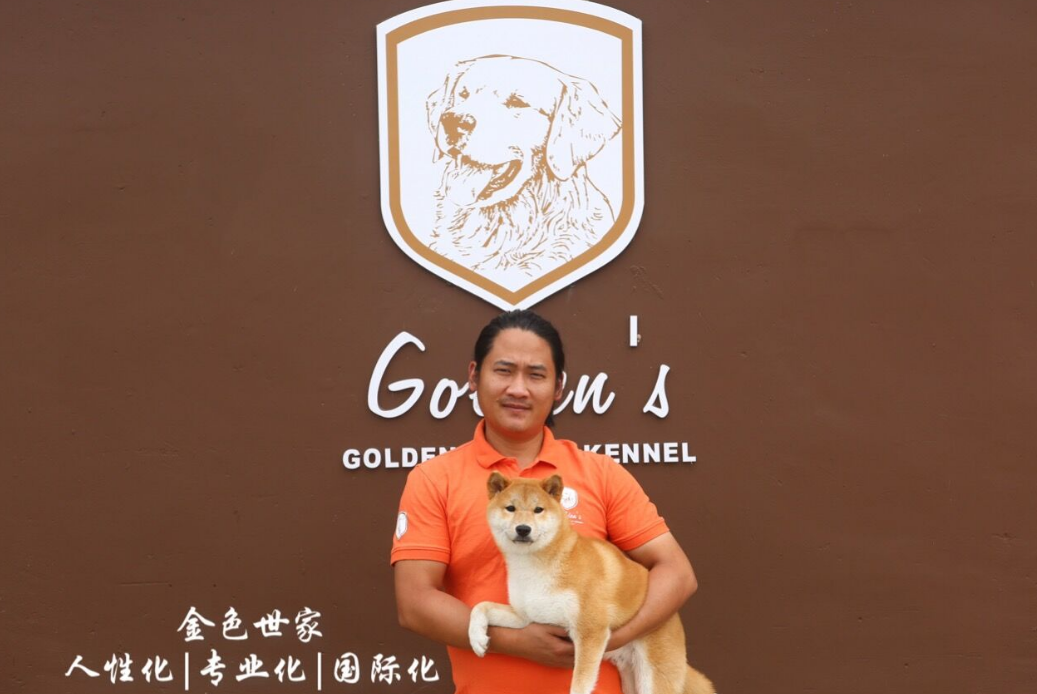 金色世家宠物学校怎么样