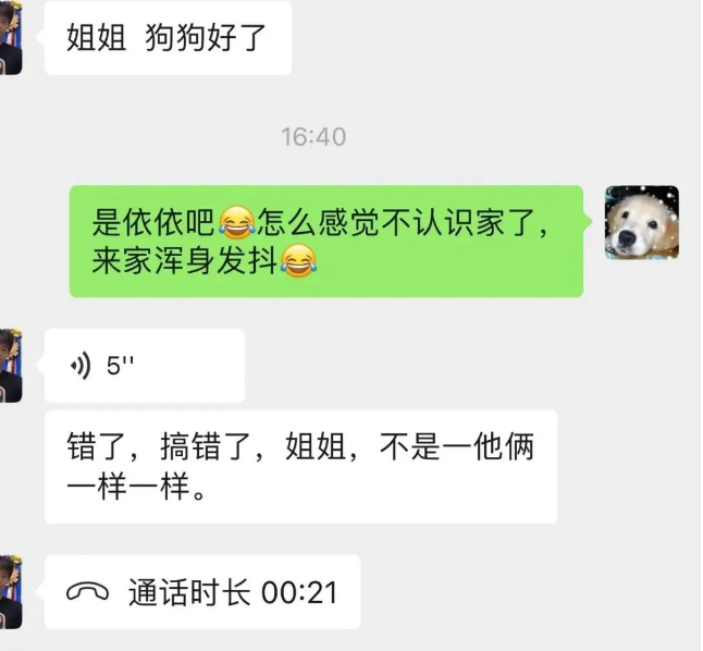 宠物店接狗回家，可它浑身发抖还不认识家了，原来是...“救命，汪被拐了！”