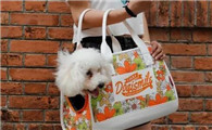 dogismile宠物包怎么样
