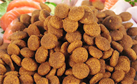 petcare狗粮是天然粮吗