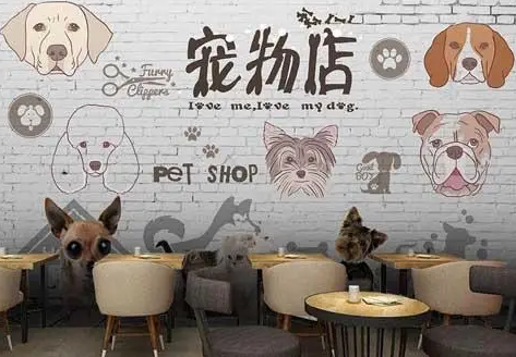 趣宠宠物店可以加盟吗 趣宠宠物店可以加盟吗
