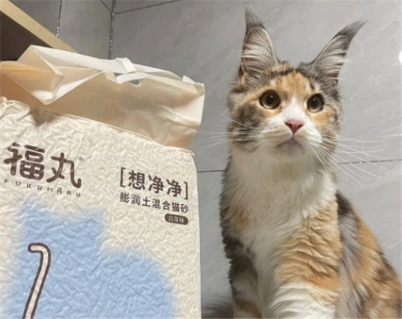 微信截图_20230705104321_副本.png