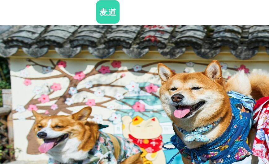 麦道宠物客服电话
